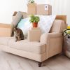 Comment habituer un chat à une nouvelle maison ?