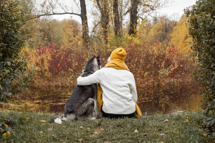 signes attachement chien maitre