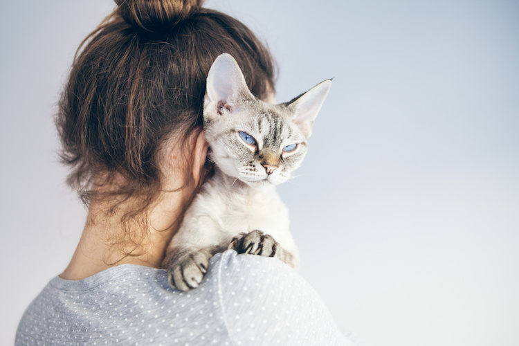 Pourquoi mon chat veut absolument me lécher ?